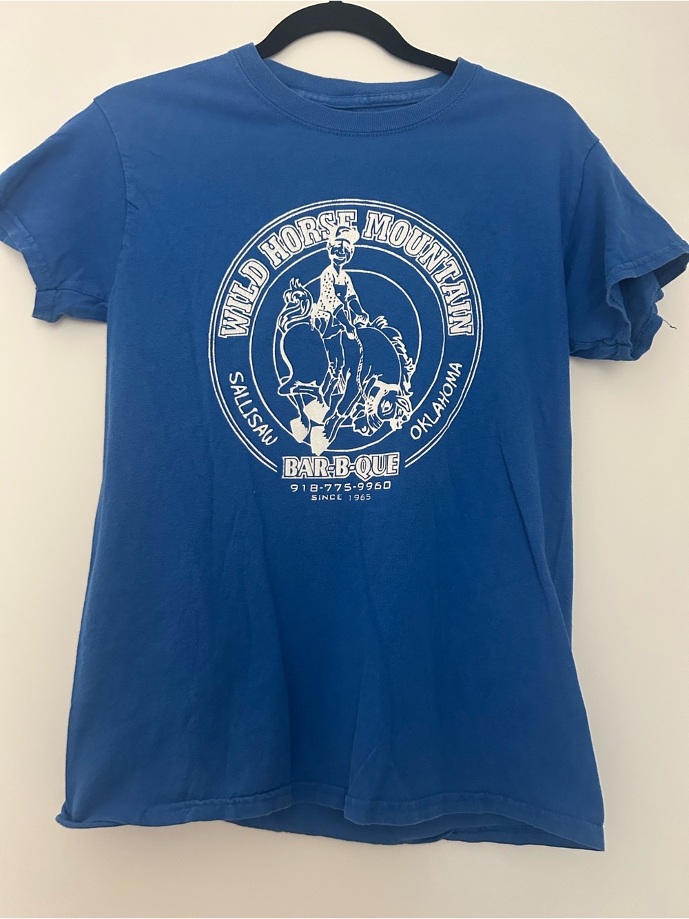 Wild Horse Mountain Blue Graphic Tee